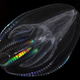 Illustration for article titled 12 of the most astounding 'living fossils' known to science